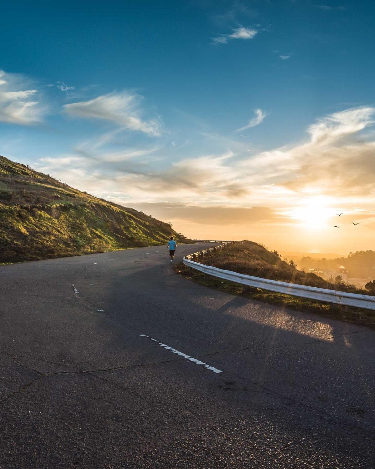 Galeri görünümü 2