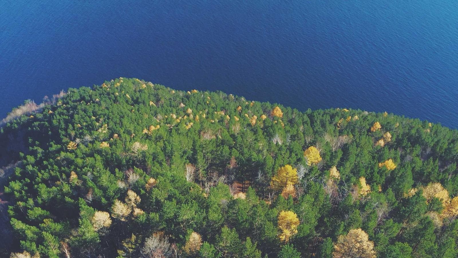 Galeri görünümü 3