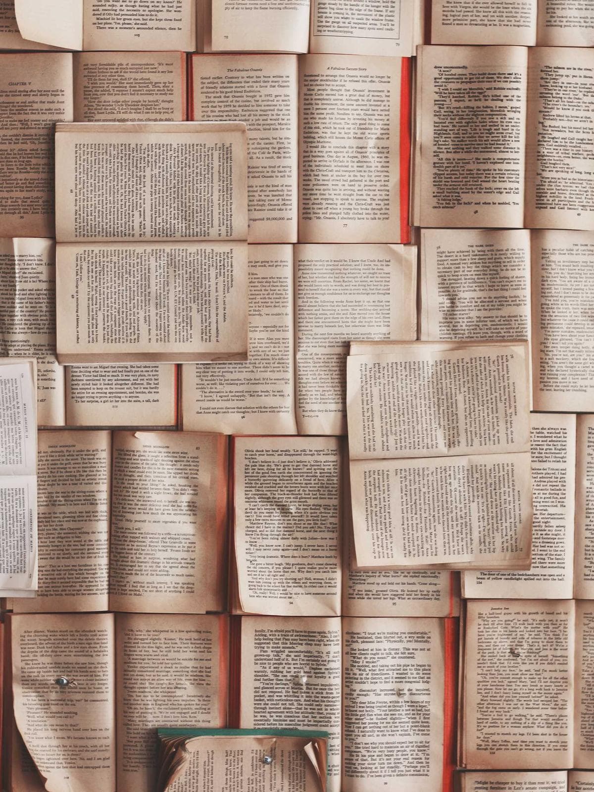 Galeri görünümü 4